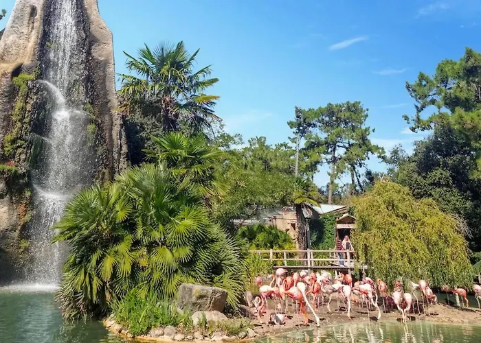 Villa Pittoresque à Meschers-sur-gironde, Piscine Privée